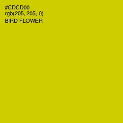 #CDCD00 - Bird Flower Color Image